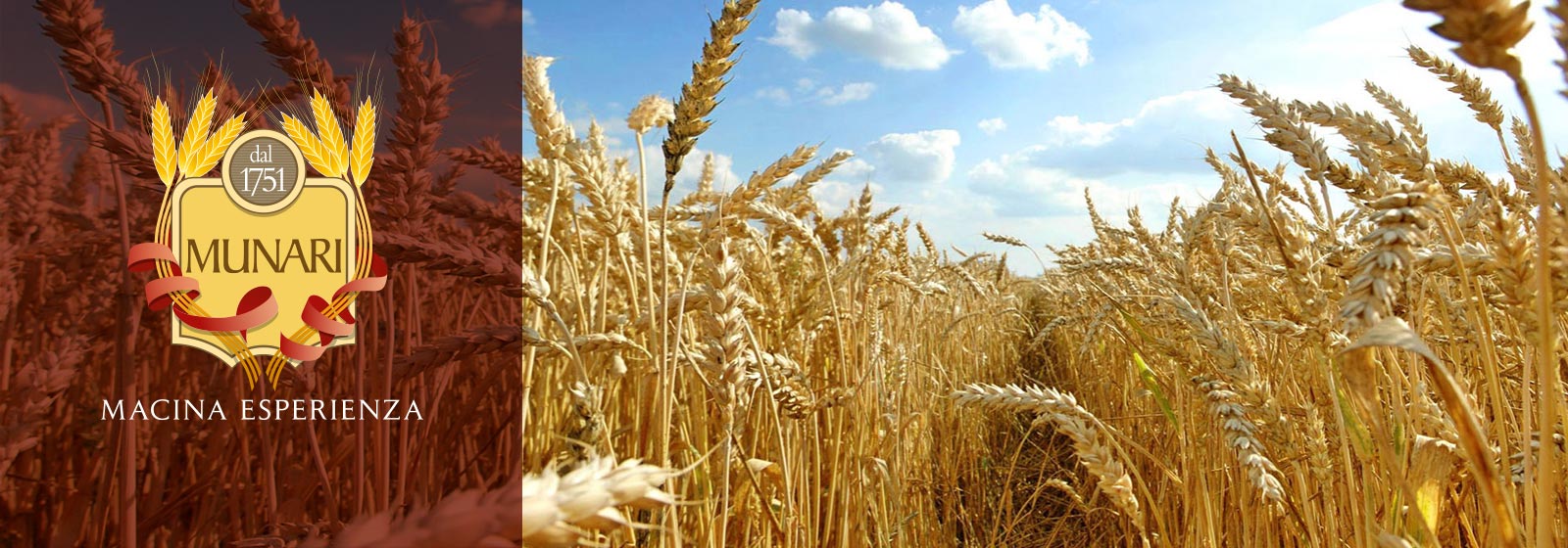 160224-mulino-munari-slider-grano